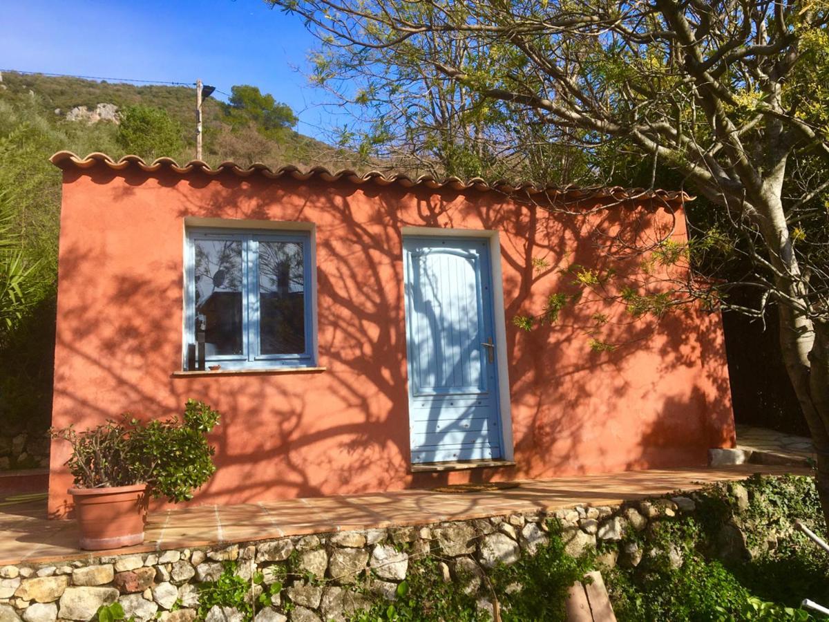 Magnifique Studio Dans Maisonnette Tourrettes-sur-Loup Zewnętrze zdjęcie